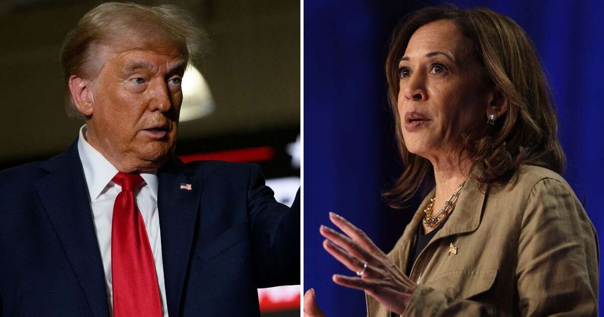 Łeb w łeb. Donald Trump i Kamala Harris walczą o zwycięstwo w kluczowych stanach USA [ANALIZA]