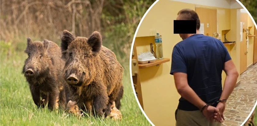 Polowanie zakończone tragedią. PZŁ reaguje na śmiertelny incydent. 