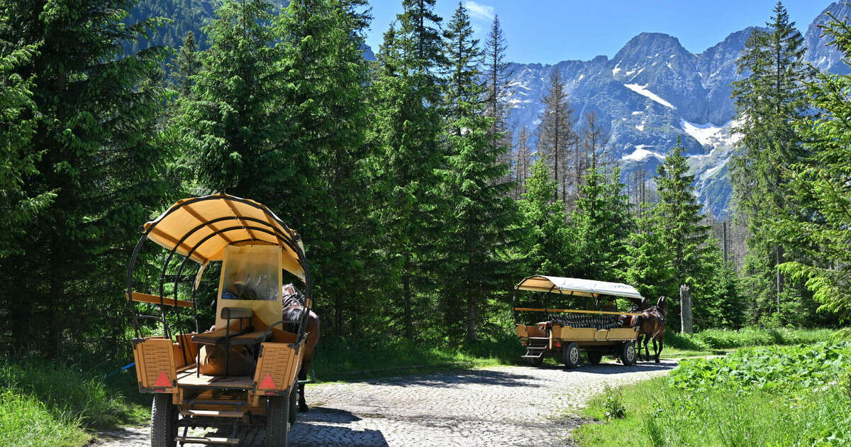 Nietypowe zachowanie turystów w drodze nad Morskie Oko. 