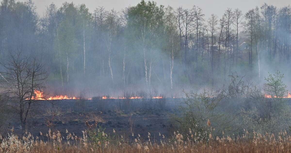 Straż pożarna alarmuje: tylko w piątek setki pożarów traw w całym kraju!