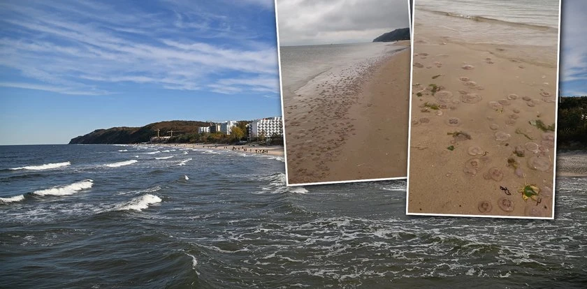 Polacy w szoku po tym, co zobaczyli na plaży. Zjawisko zachwyca i przeraża