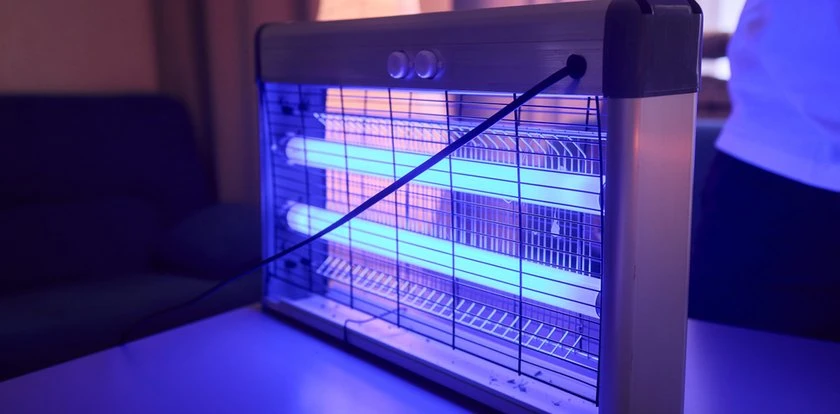 Przegląd lamp owadobójczych. Tanie i skuteczne modele
