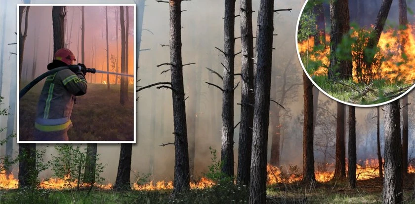 Ogromny pożar pod Warszawą. Strażacy wciąż walczą z żywiołem, nowe informacje