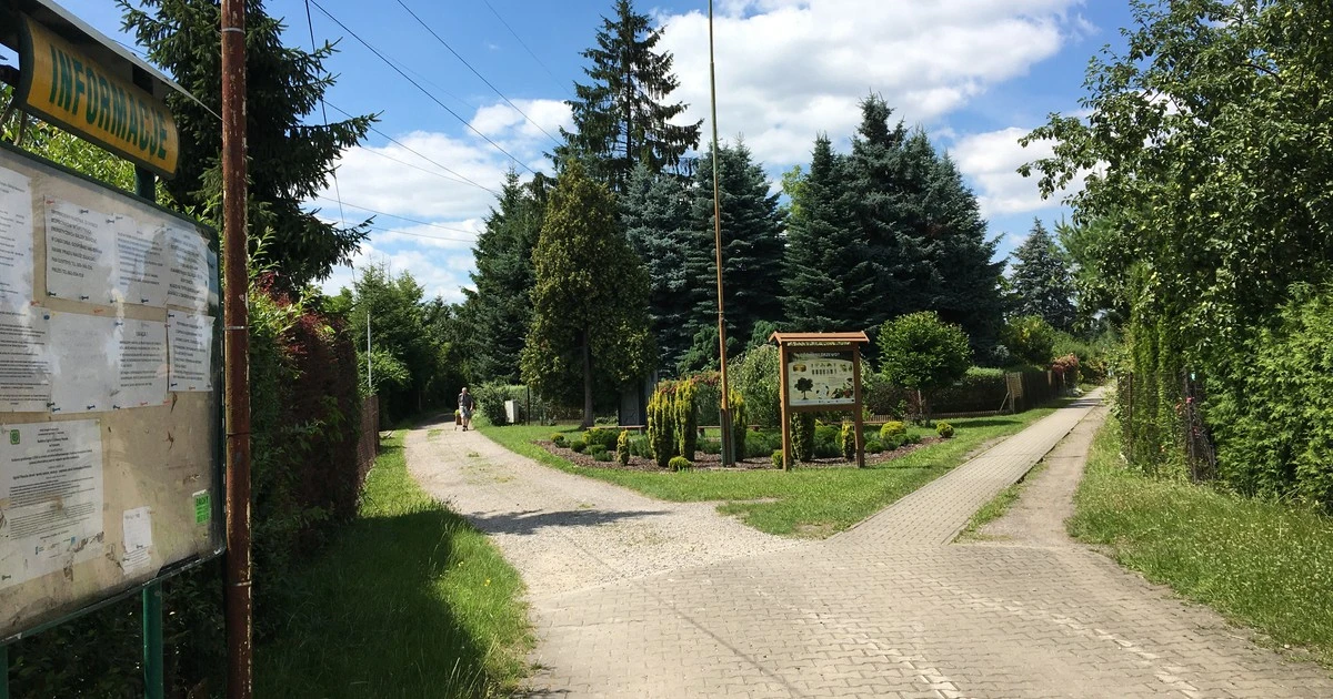Moda młodych miastowych — kupują działki ogrodowe. 