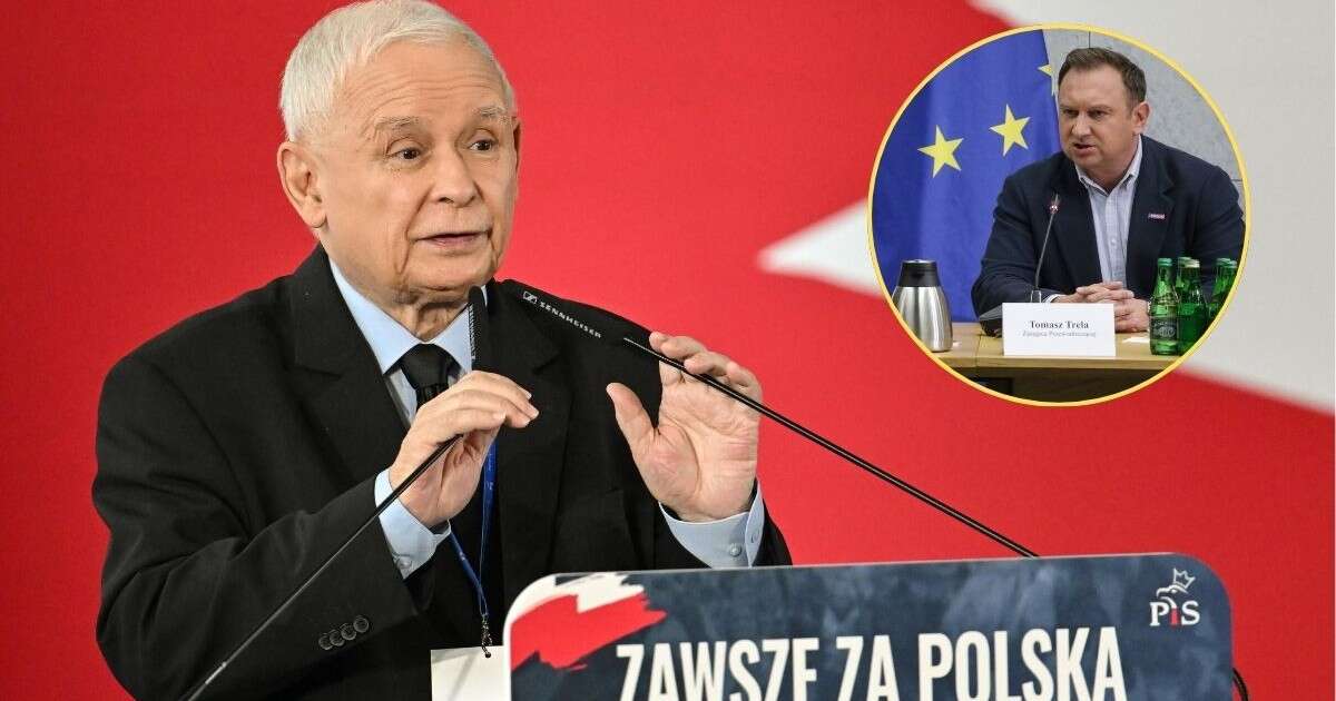 Ostre słowa wiceszefa komisji do spraw Pegasusa. 