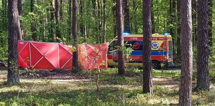 14-latka nie żyje po upadku z konia. Prokuratura mówi o strasznych obrażeniach