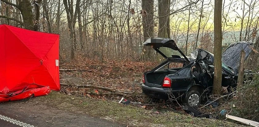 Skoda wylądowała na drzewie. W aucie było pięć osób