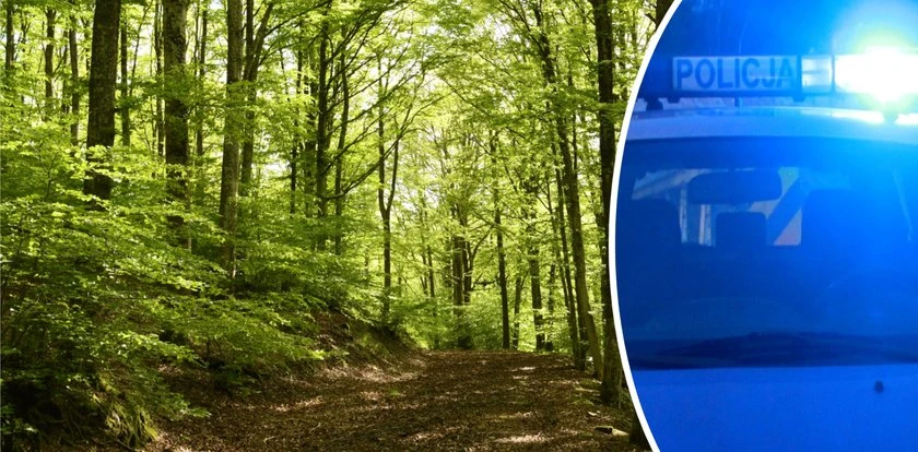 Dramatyczna akcja pod Nowym Targiem. 37-latek uciekł do lasu. Policja obawia się najgorszego. Uruchomiono drony