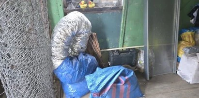 Weszli na poddasze domu 77-letniej Rosjanki pod Lubaniem. Szokujące, co tam znaleźli