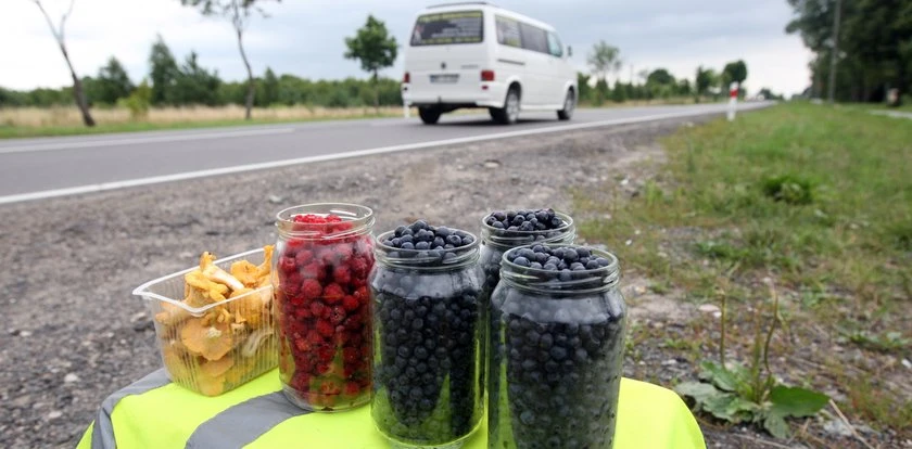 Handlarze załamani. Jagód jak na lekarstwo. Dają takie ceny