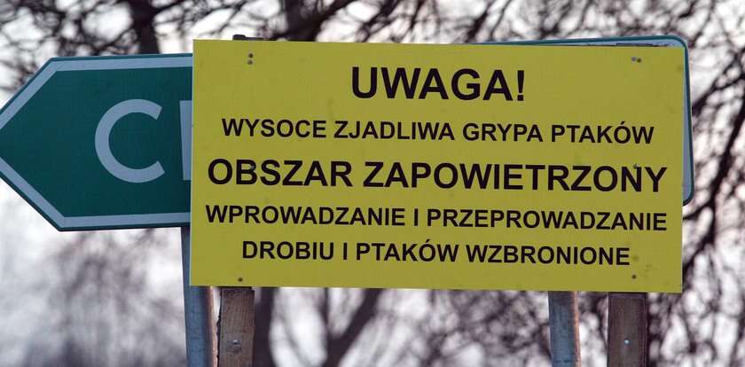 Dramatyczny apel do rolników. Chodzi o bezpieczeństwo. Nie można ignorować tych objawów