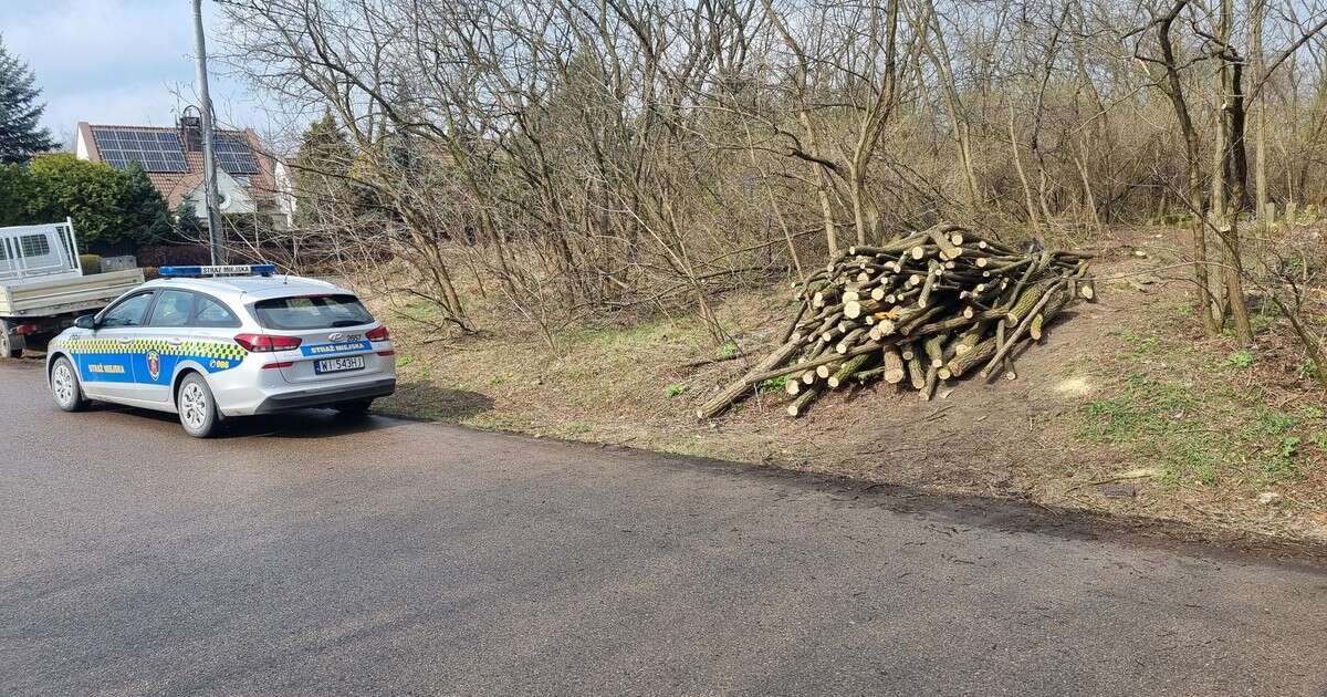 Ekshumacja na zabytkowym cmentarzu