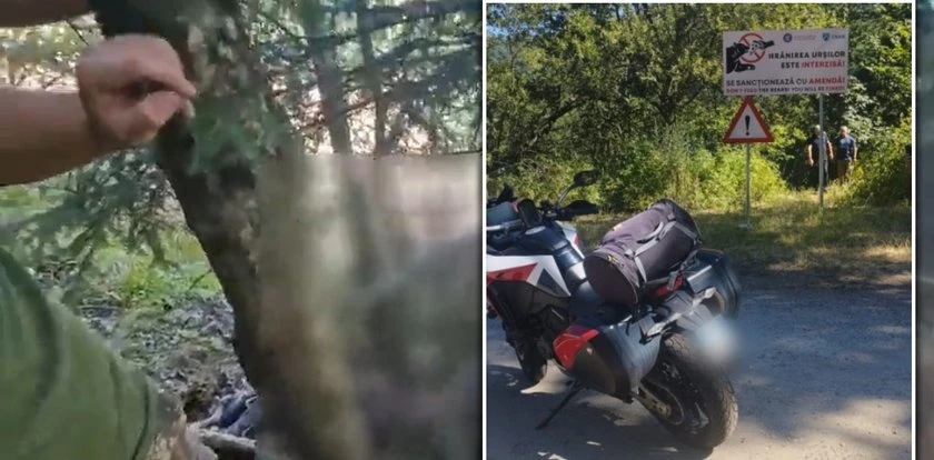 Zatrzymał się przy znaku. Niedźwiedź zepchnął go w przepaść