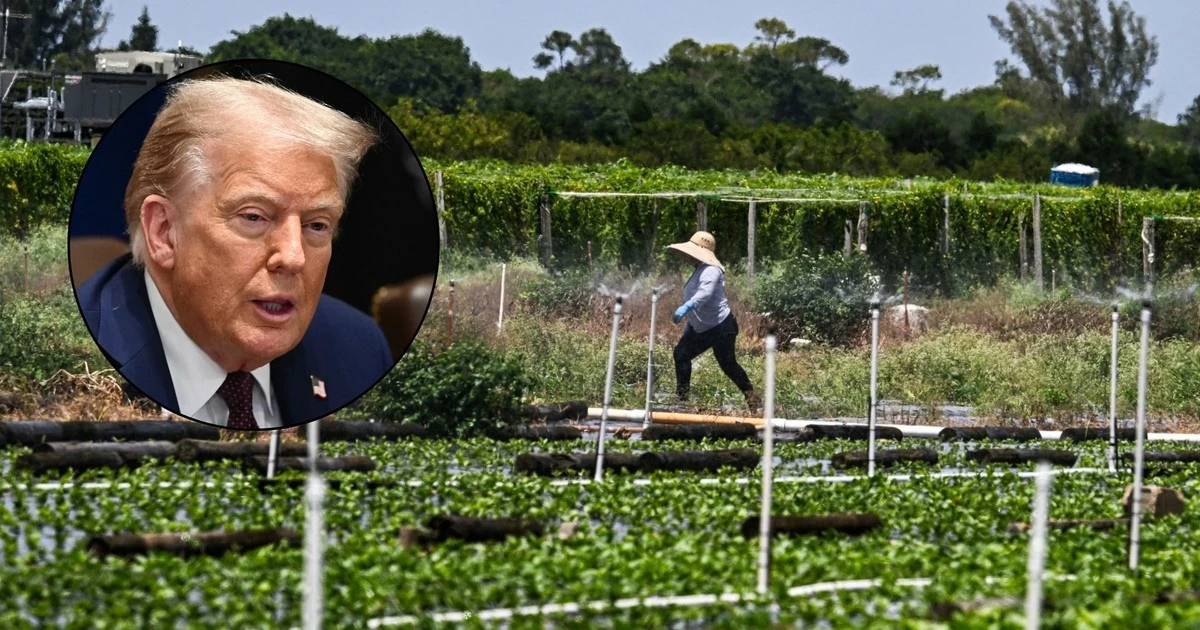 Paraliż w USA. Donald Trump sam rzuca kłody pod nogi amerykańskiej gospodarce. 