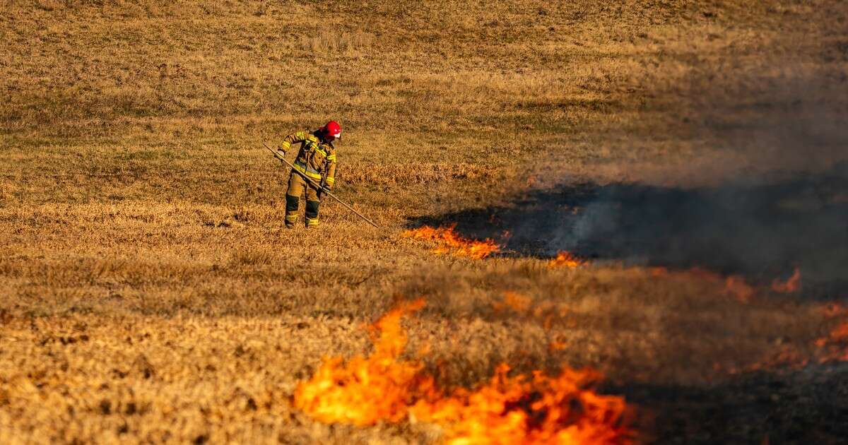 Surowe kary za wypalanie traw. Grzywny do 30 tys. zł i areszt