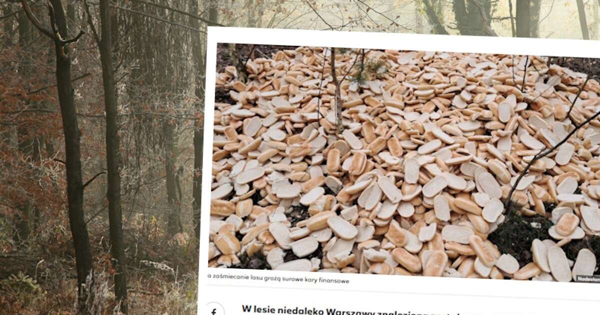 Sterta bułek w lesie pod Warszawą. Mieszkańcy oburzeni, służby apelują