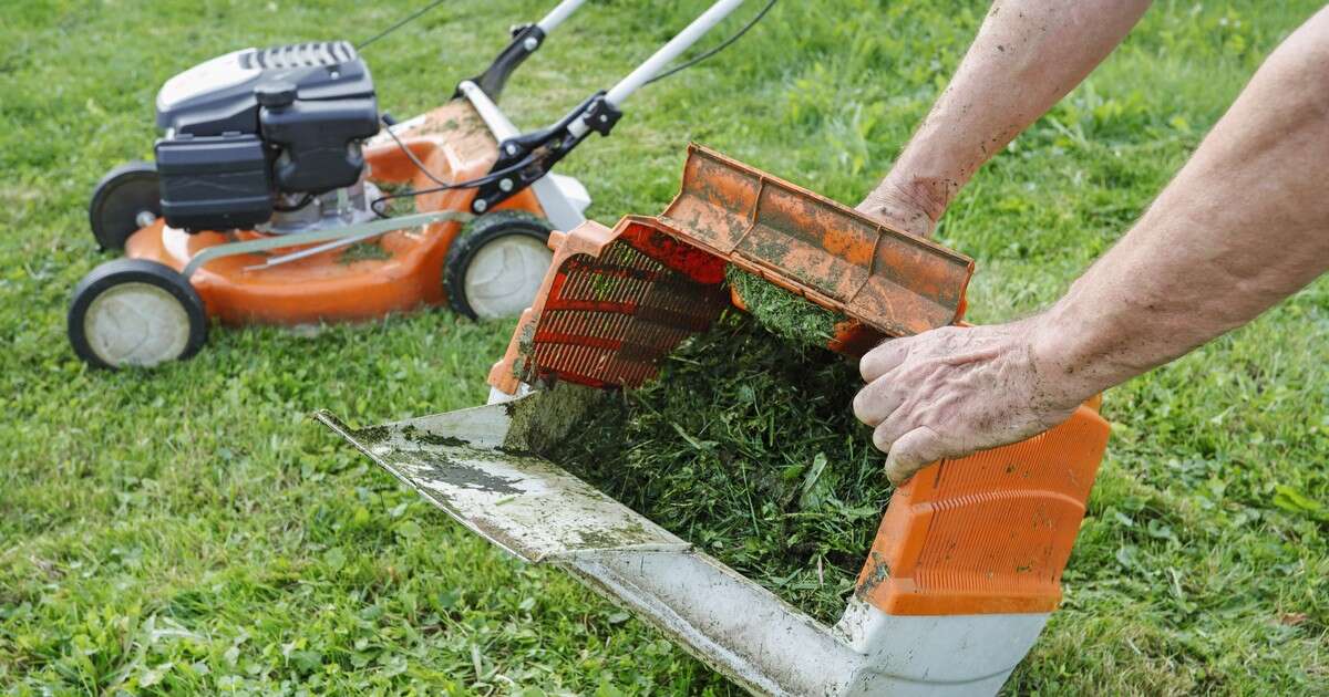 Ostatnie koszenie trawnika przed zimą. Podajemy konkretny termin