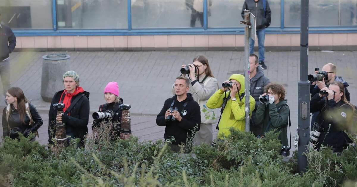 Ten ptak wywołał sensację w Warszawie. Rozbił się o szklaną wiatę