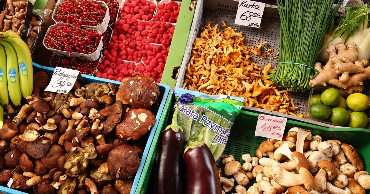 Borowiki kosztują od 20 do 70 zł za kilogram. Skąd taka rozpiętość cenowa? Nie chodzi o region