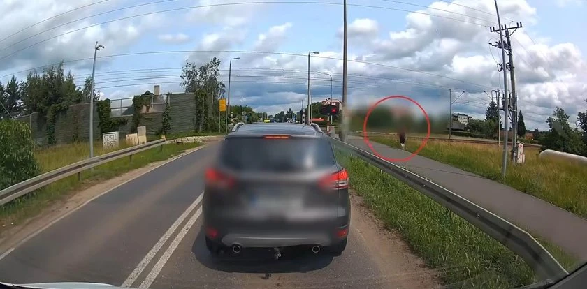 Centymetry od śmierci. Policja pokazała nagranie