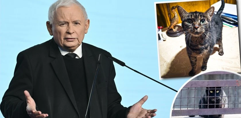 Ten obowiązek nie ominie nawet Kaczyńskiego. W tle rządowa reforma