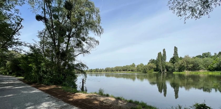 Jak tu pięknie! Odwiedź wrocławską Amazonię!