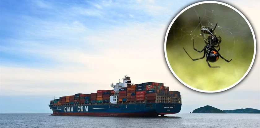 Amerykański statek zatrzymany w porcie na wyspach Pacyfiku. Zaskakujący powód