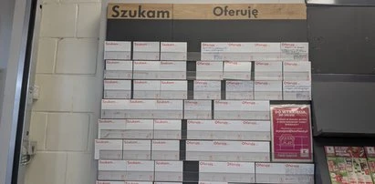 Koniec mitu o studiach? Ponad 9 mln Polaków pracuje bez dyplomu