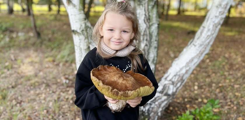 Niesamowite znalezisko 5-letniej Zosi! Nie uwierzycie, ile ważył grzyb gigant