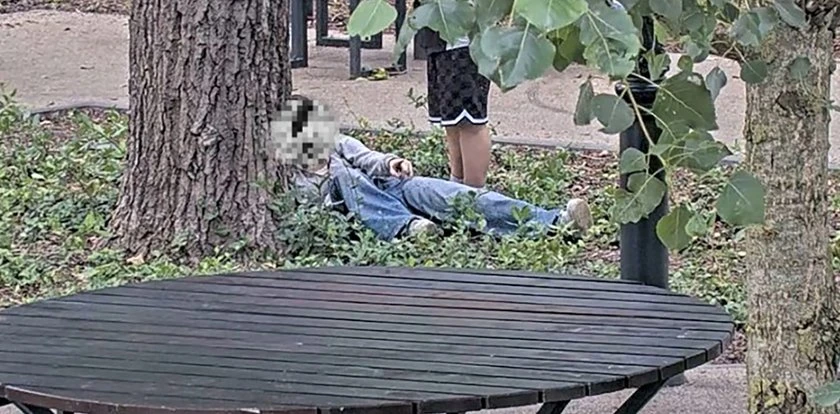 Wstrząsający widok przy drzewie. To była 14-latka. Dramat w Łodzi