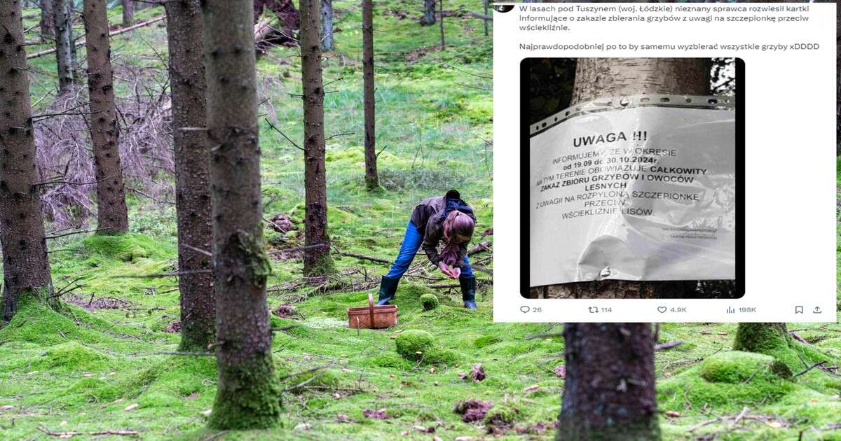 Grzybiarz posunął się do wyjątkowego podstępu. Chciał mieć cały las dla siebie