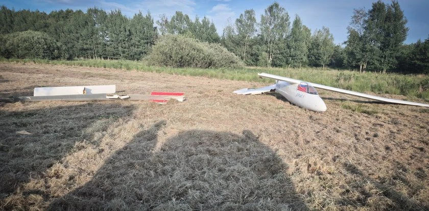 Drzewo przerwało awaryjne lądowanie. Szybowiec roztrzaskał się pod Stalową Wolą