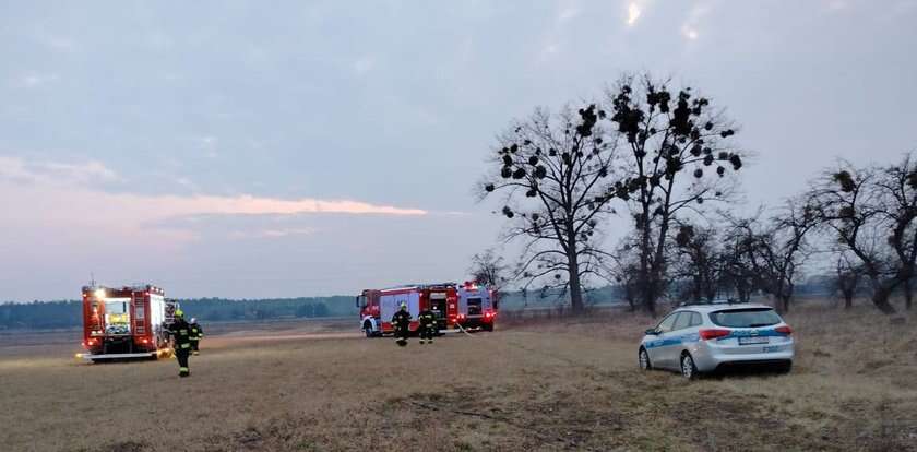 Tragiczny pożar traw w Nieborowie. Strażacy znaleźli zwęglone ciało