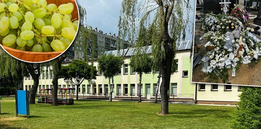 Mały Jeremi zmarł w żłobku przez winogrono? Śledczy zamknęli sprawę