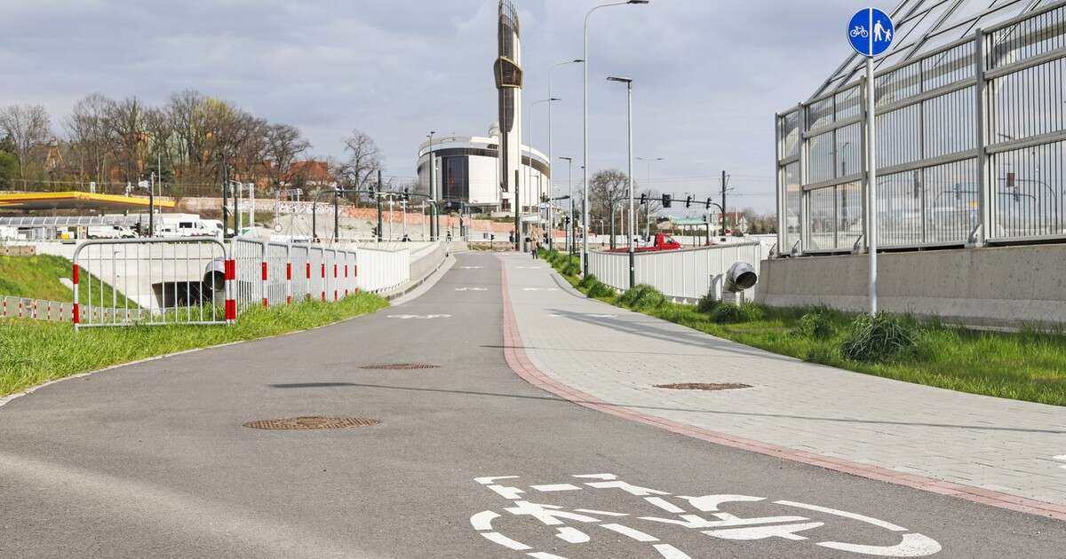 Czy można dostać mandat za spacerowanie po drodze rowerowej? Wyjaśniamy