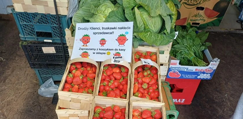 Przebierali w truskawkach. Zakaz dotykania. 
