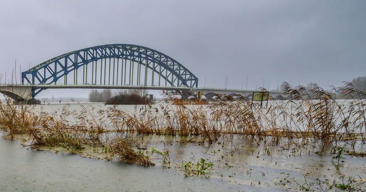 20-letni Polak zaginął w Holandii. Tragiczny finał poszukiwań