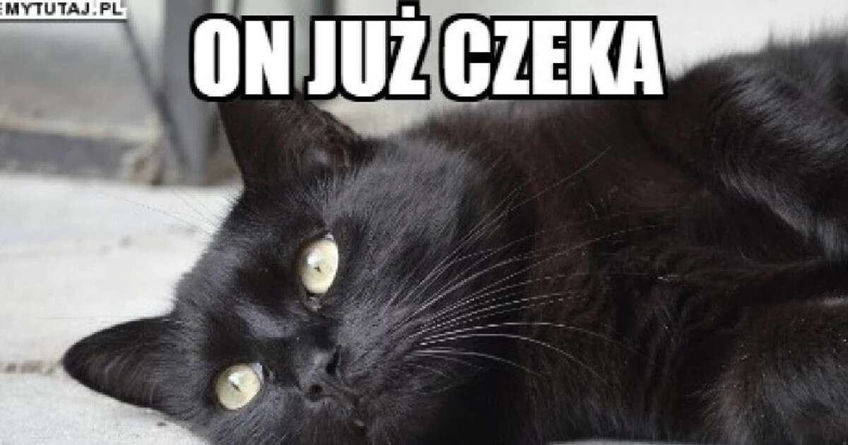 Najśmieszniejsze memy na piątek 13. Rozbawią was do łez