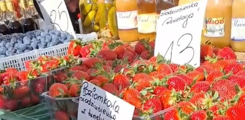 Dziwne praktyki z truskawkami. Ludzie oczom nie wierzą. 