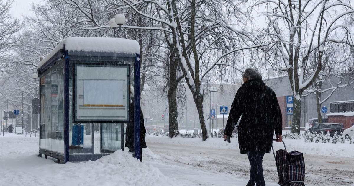 Zrobiła kierowcy autobusu zdjęcia i wstawiła do sieci. Miał przeglądać w trakcie jazdy TikToka