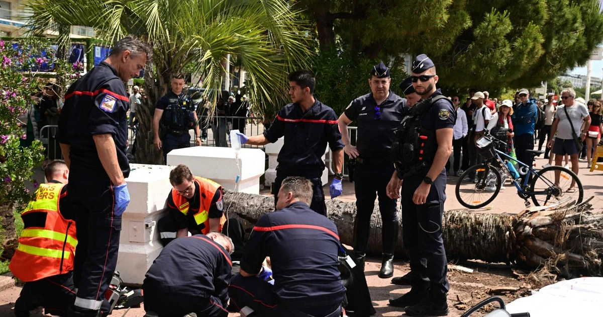 Groźny wypadek na festiwalu w Cannes. Palma przewróciła się na agenta aktora