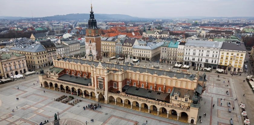 Nietypowe zaginięcie w Krakowie. Opiekun oferuje nagrodę za pomoc w odnalezieniu Siwej
