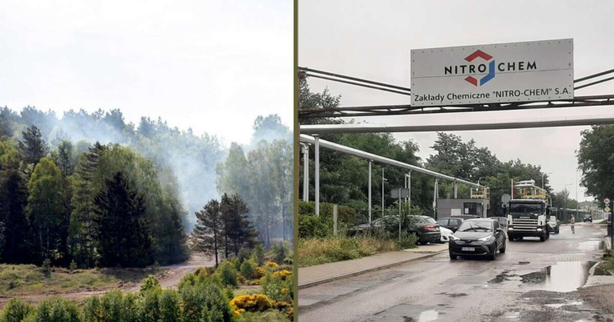 Prezes zbrojeniowego giganta w zorganizowanej grupie przestępczej. W tle poparzeni żołnierze i skażone poligony