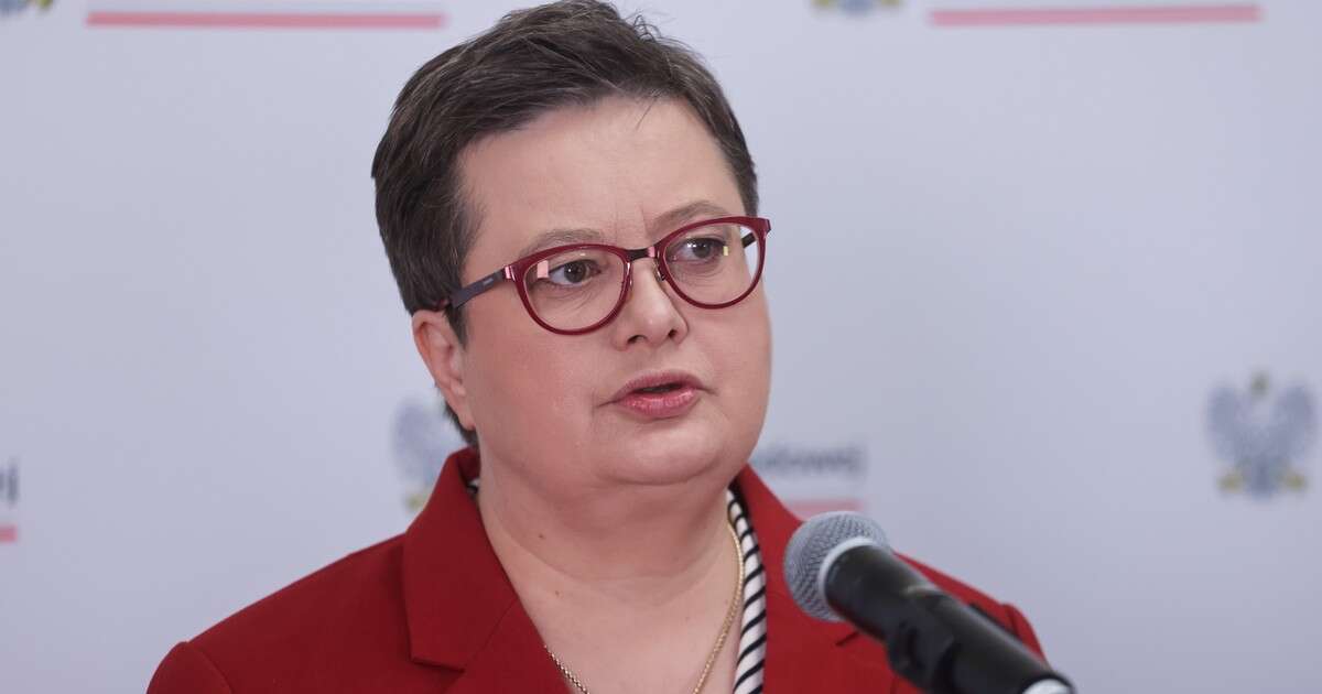 Katarzyna Lubnauer o wyborach. 