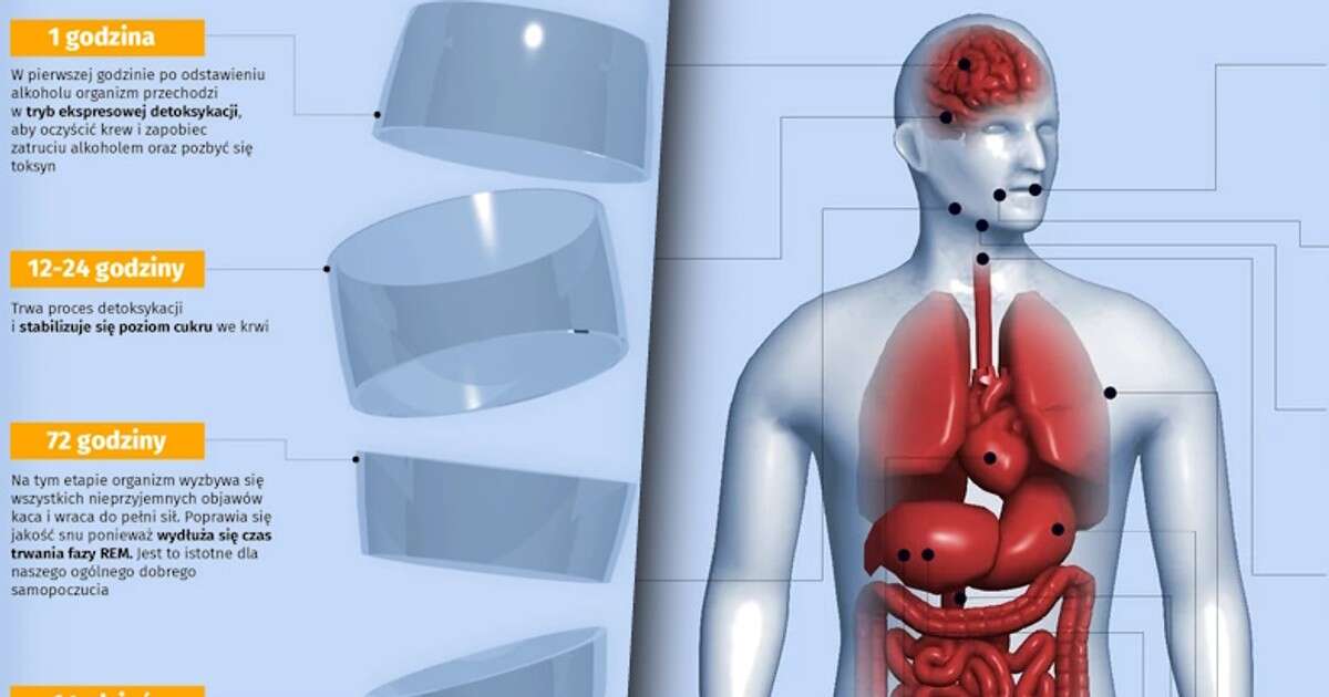 Co się stanie z twoim ciałem po odstawieniu alkoholu? Pięć ważnych zmian