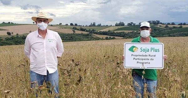 Cultura da soja avana no Sudoeste de Minas