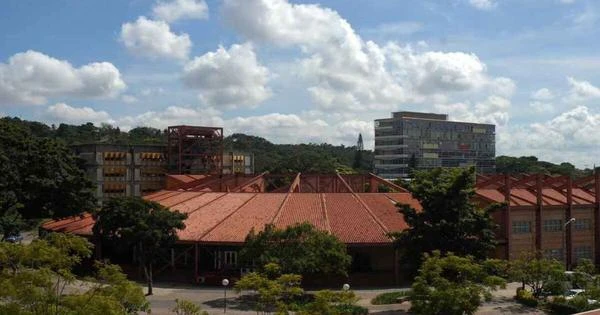 Ranking: 49 cientistas da UFMG estão entre os melhores do mundo