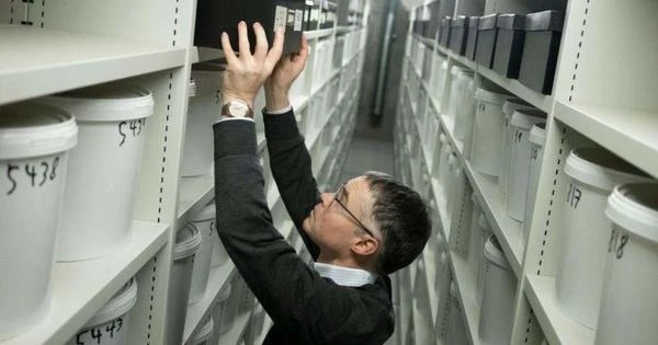 Por que país armazena quase 10 mil cérebros