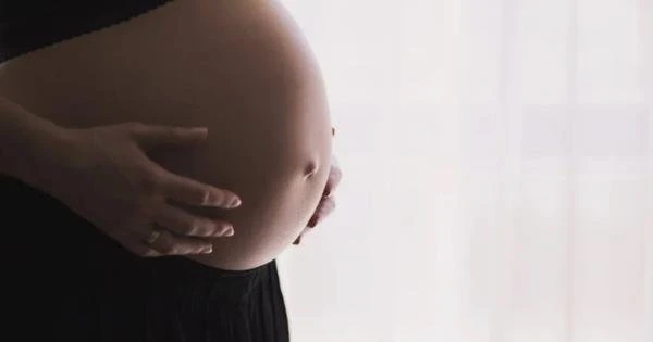 COVID-19: BH amplia vacinao para gestantes sem comorbidades