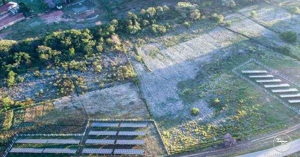 Manh de tera (15/6) com geadas e temperatura abaixo de 2 C no Sul de MG